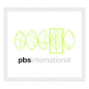 Pbs logo box